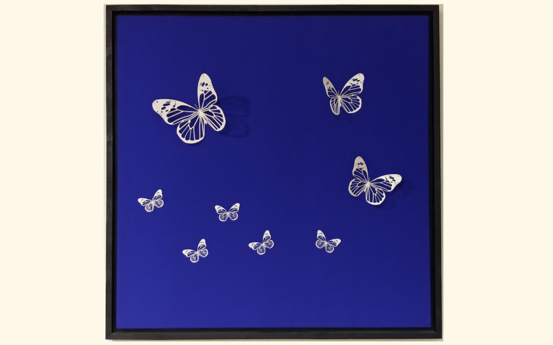 Bleu papillon